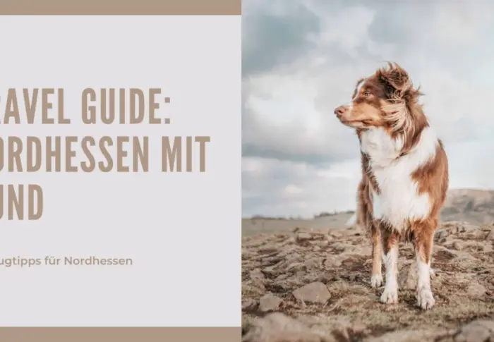 Travel Guide: Ausflugstipps für Nordhessen mit Hund