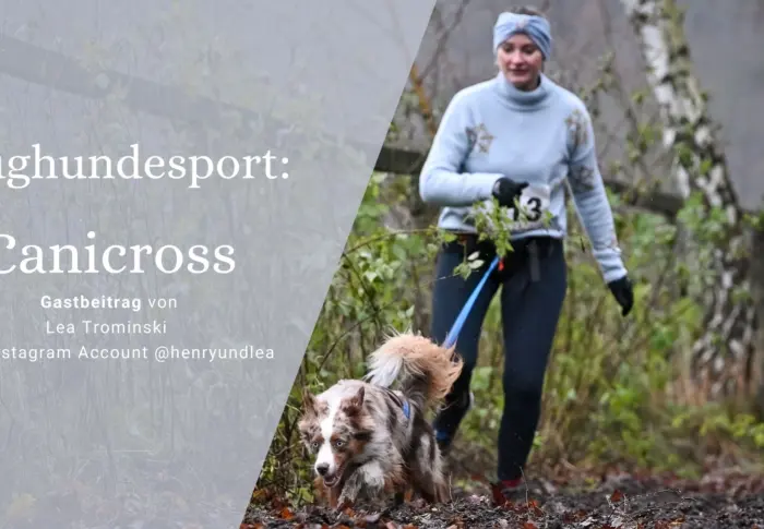 Zughundesport: Canicross – Gemeinsam laufen mit dem Hund