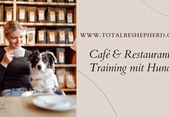 Trainings-Tipps: Mit dem Hund ins Café & Restaurant