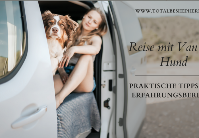 Reise mit Van und Hund – praktische Tipps und Erfahrungsbericht