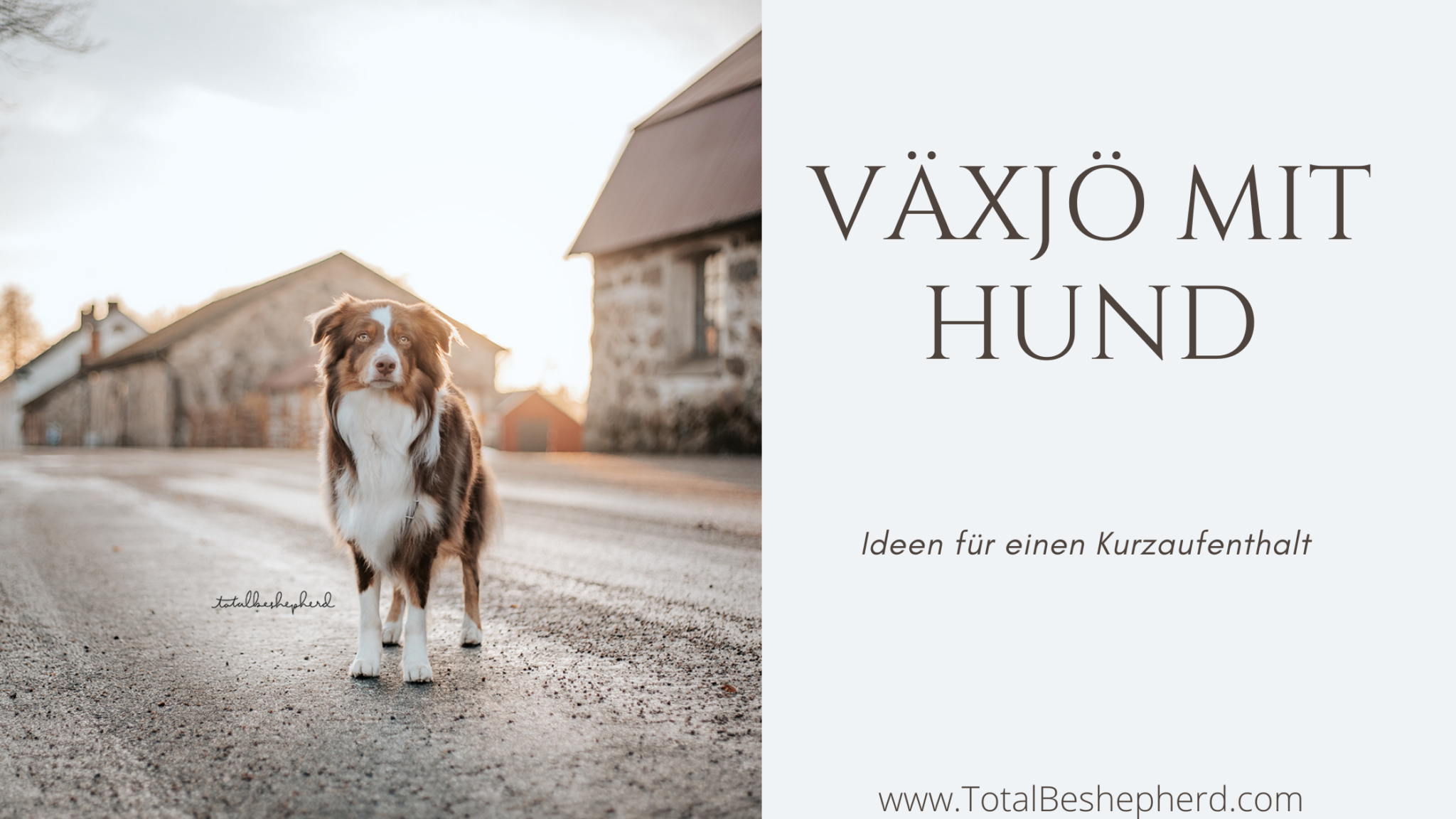 Schweden mit Hund Vorbereitung für die Reise TotalBeshepherd