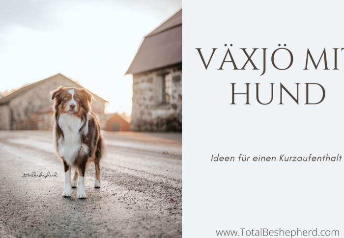 Schweden mit Hund: Ein paar Tage in Växjö mit Hund