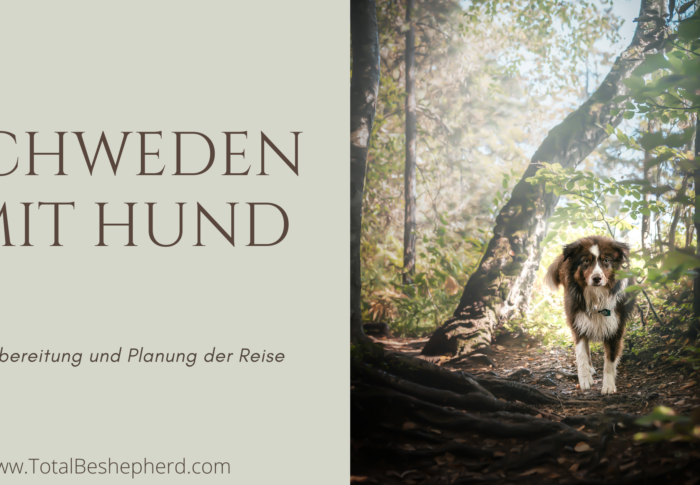 Schweden mit Hund: Vorbereitung für die Reise