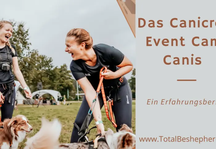 Canicross Event Camp Canis – Ein Erfahrungsbericht