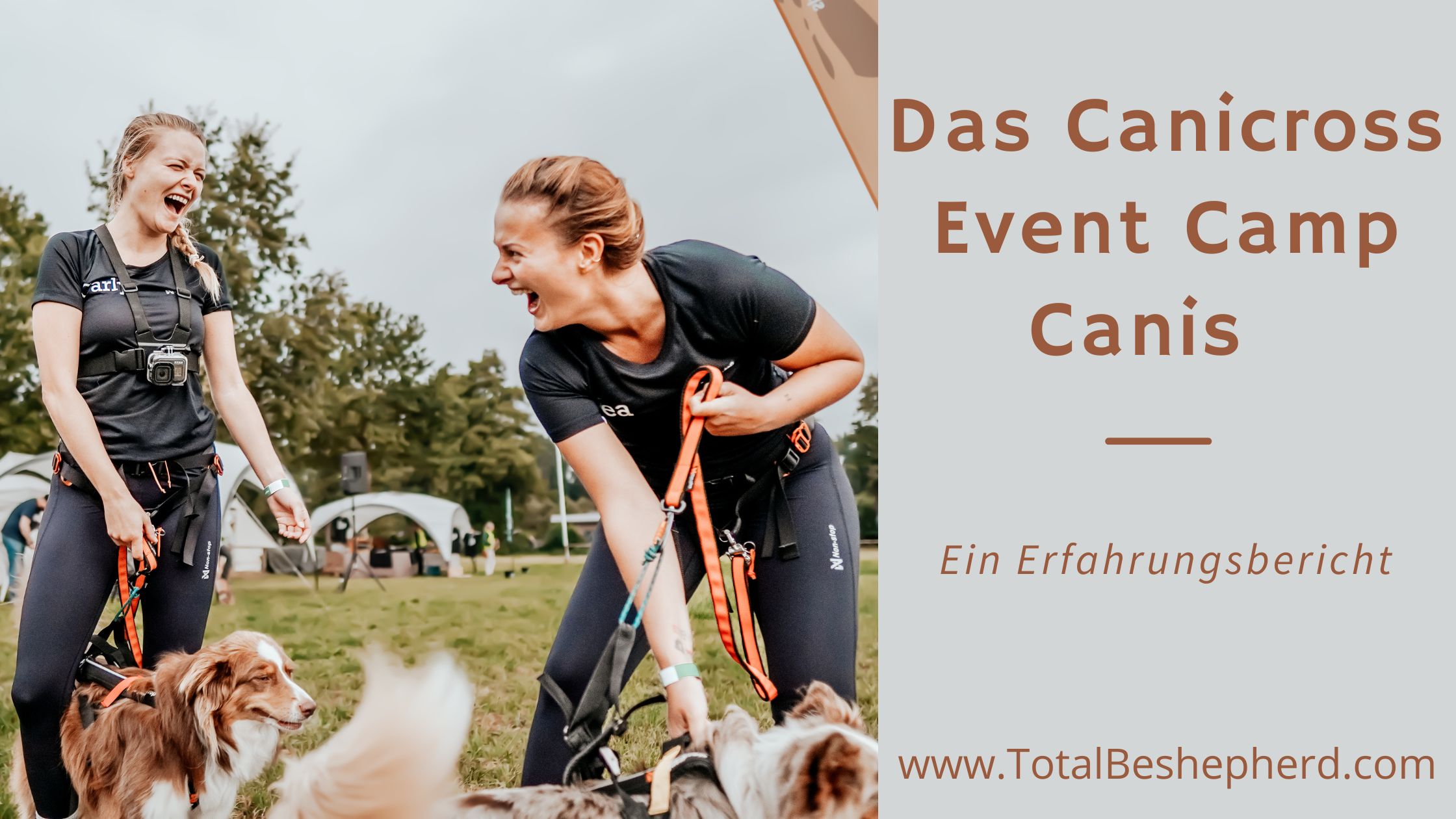Camp Canis Canicross Event