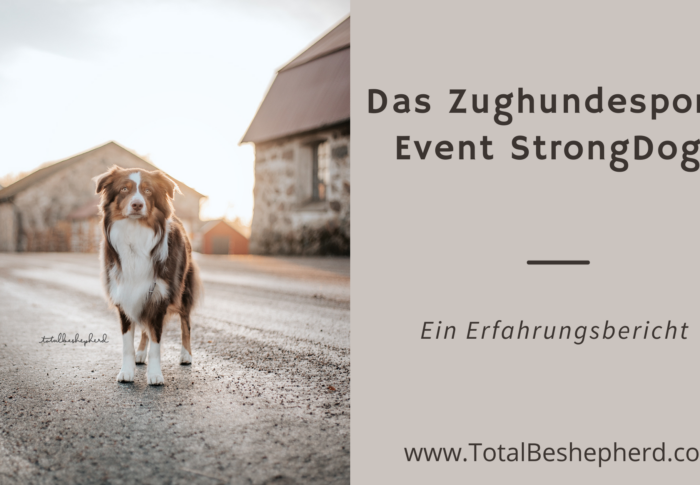 Das Zughundesport-Event StrongDog – Ein Erfahrungsbericht