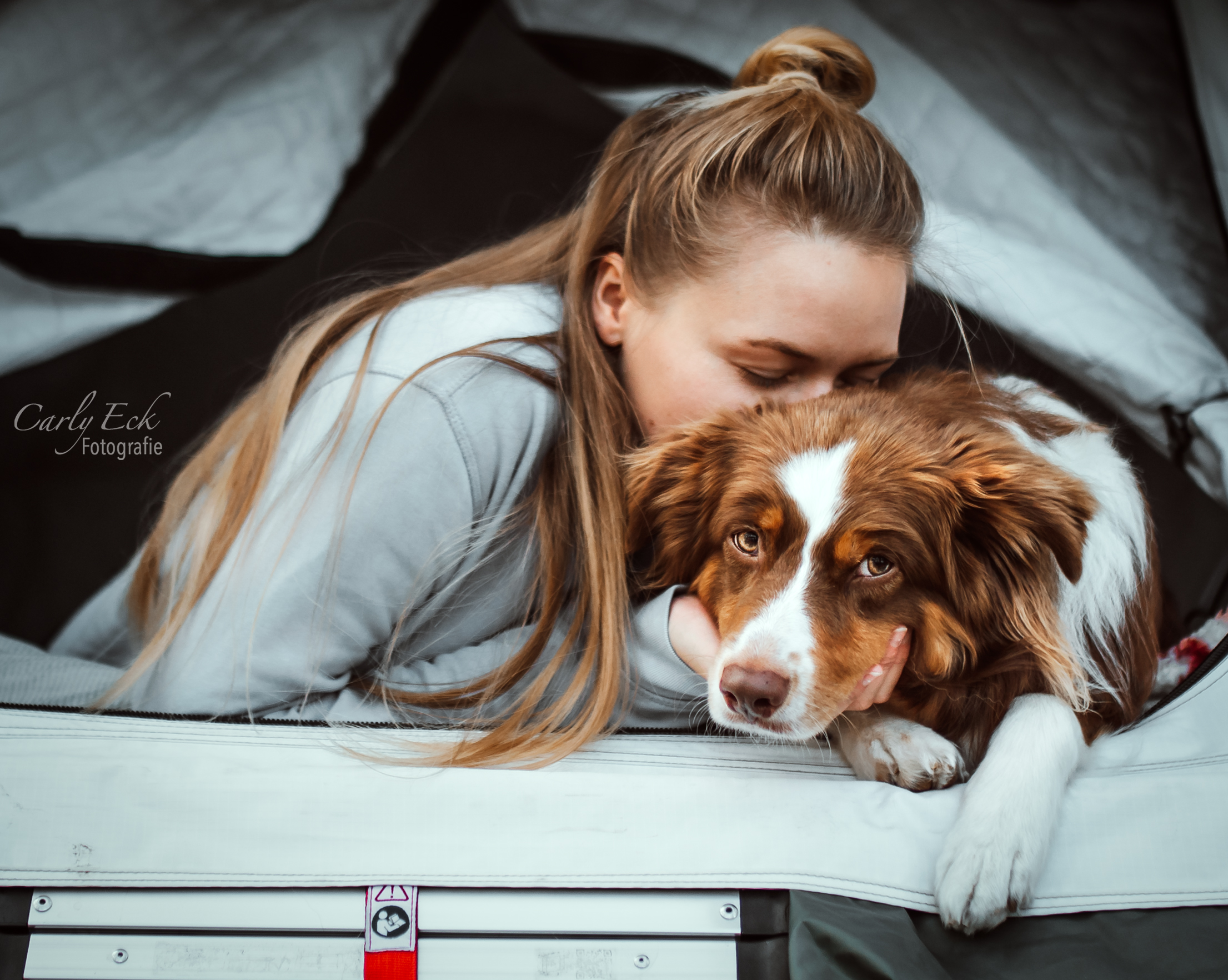 Hundeblog erfolgreiche Posts