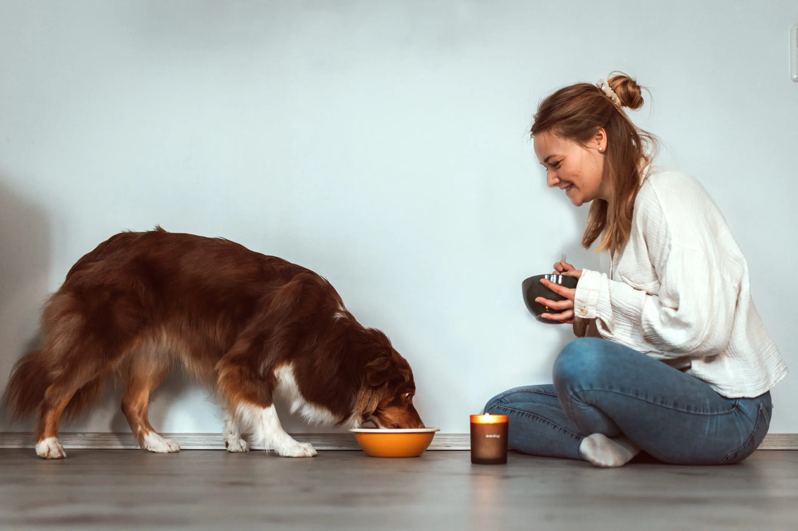 BARF artgerechte Ernährungsform für Hunde und Katzen