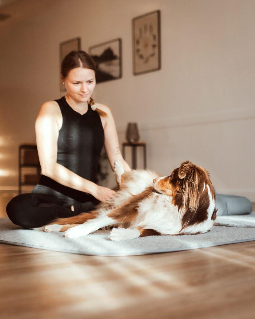 Achtsamkeitsreise Yoga mit Hund Doga