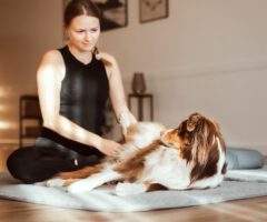 Achtsamkeitsreise mit Hund – Ein langes Wochenende mit Yin-Doga